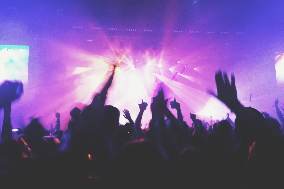 Concert crowd